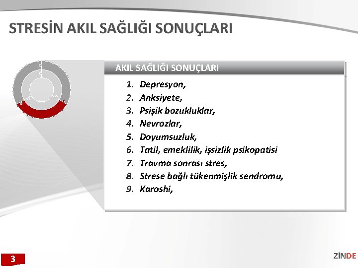 AKIL SAĞLIĞI SONUÇLARI 1. 2. 3. 4. 5. 6. 7. 8. 9. 3 Depresyon,