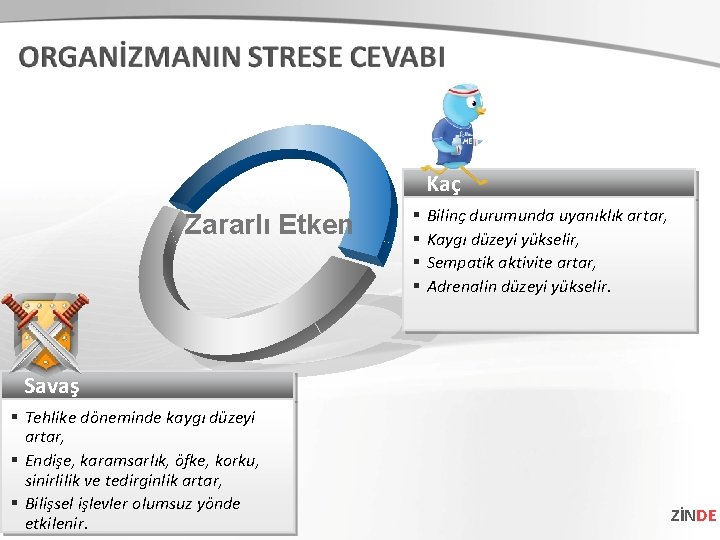 Kaç Zararlı Etken § § Bilinç durumunda uyanıklık artar, Kaygı düzeyi yükselir, Sempatik aktivite