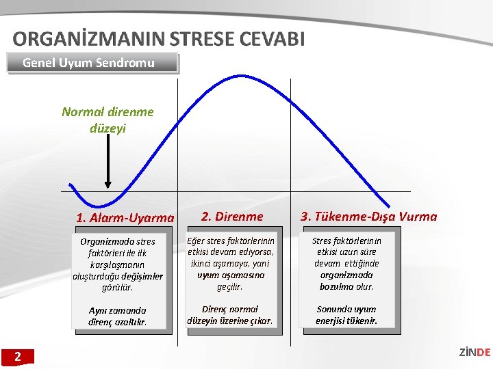 Genel Uyum Sendromu Normal direnme düzeyi 1. Alarm-Uyarma 2 2. Direnme 3. Tükenme-Dışa Vurma