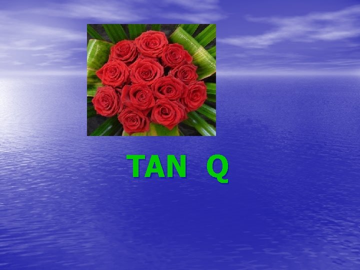 TAN Q TAN Q