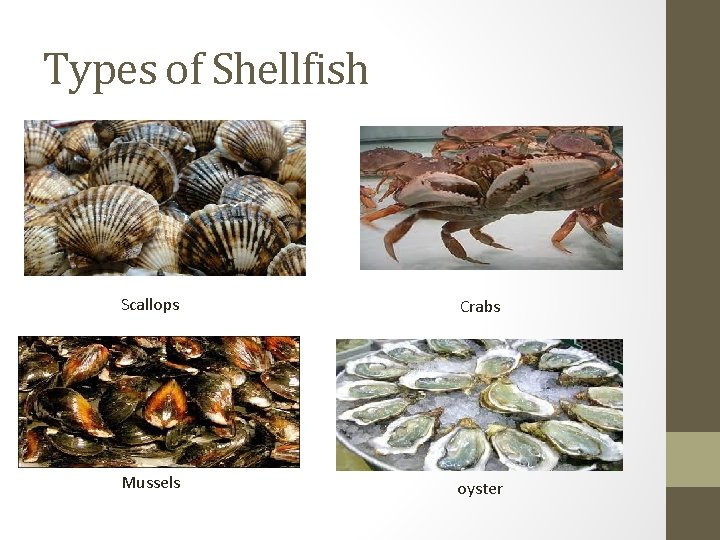 Types of Shellfish Scallops Crabs Mussels oyster 