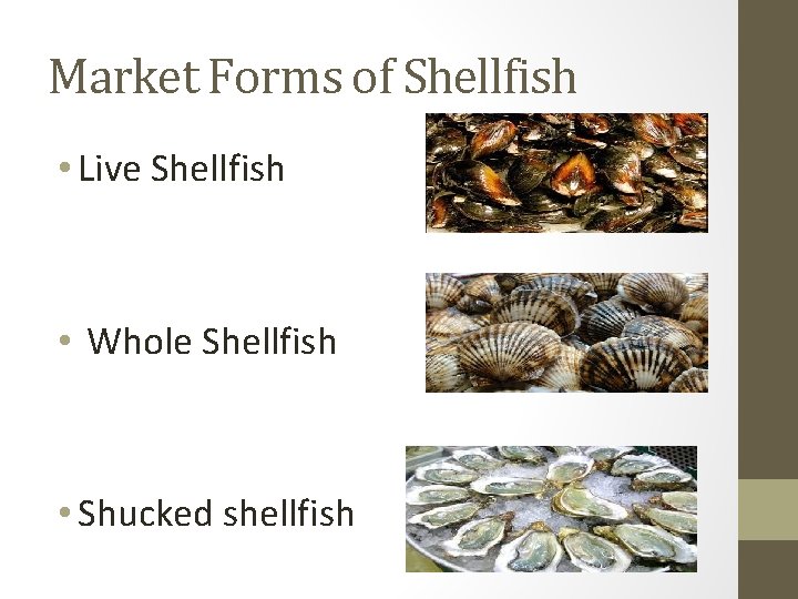 Market Forms of Shellfish • Live Shellfish • Whole Shellfish • Shucked shellfish 