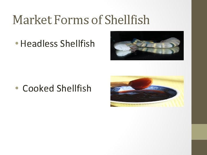 Market Forms of Shellfish • Headless Shellfish • Cooked Shellfish 