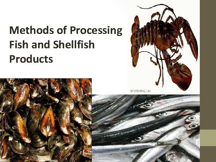 Methods of Processing Fish and Shellfish Products 