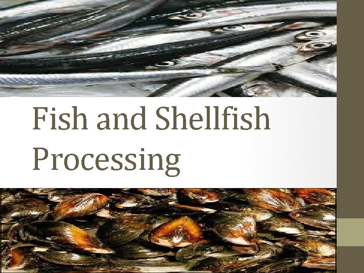 Fish and Shellfish Processing 