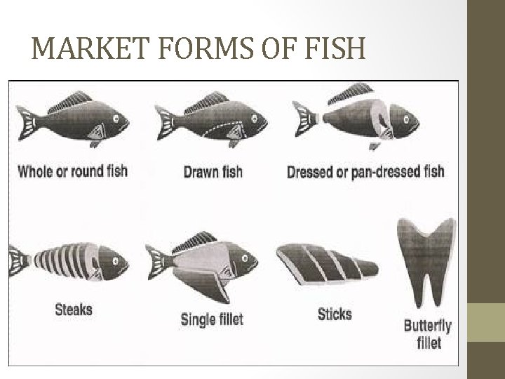 MARKET FORMS OF FISH 