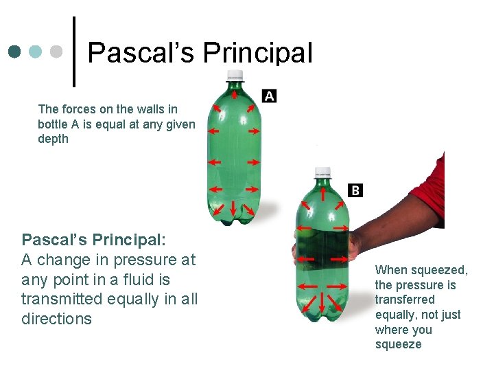 Pascal’s Principal The forces on the walls in bottle A is equal at any