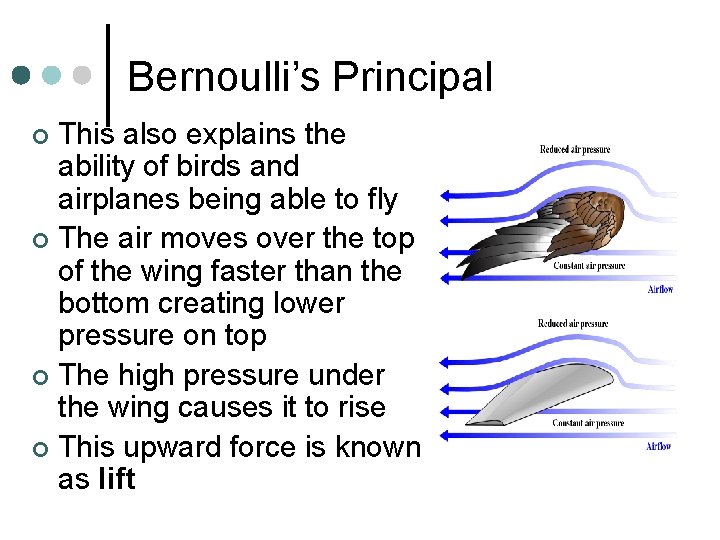 Bernoulli’s Principal This also explains the ability of birds and airplanes being able to