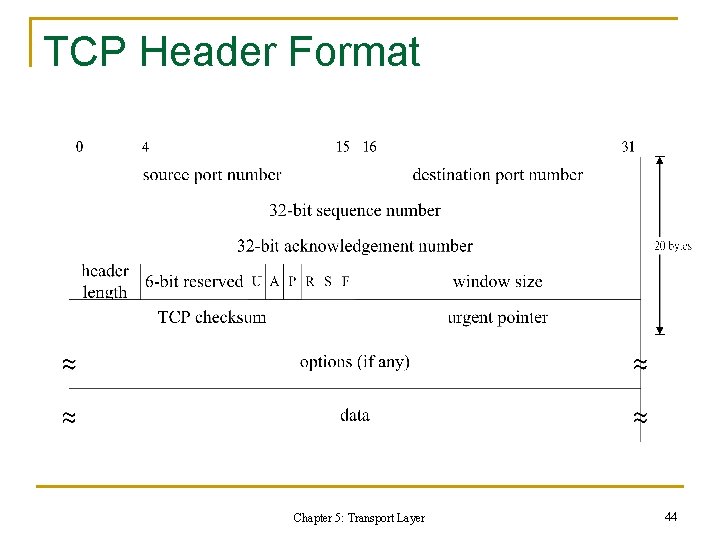 TCP Header Format Chapter 5: Transport Layer 44 TCP Header Format Chapter 5: Transport Layer 44