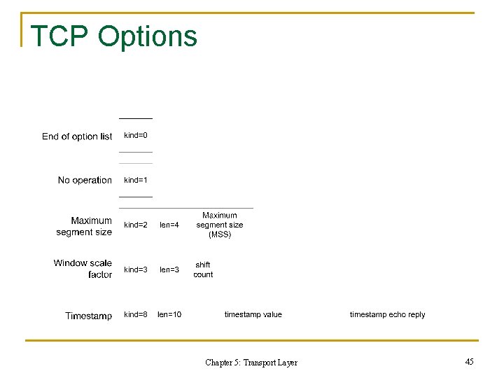 TCP Options Chapter 5: Transport Layer 45 TCP Options Chapter 5: Transport Layer 45