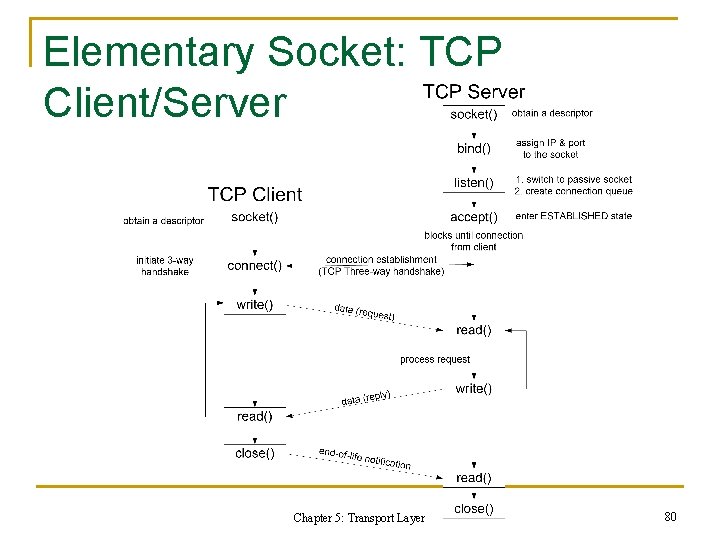 Elementary Socket: TCP Client/Server Chapter 5: Transport Layer 80 Elementary Socket: TCP Client/Server Chapter 5: Transport Layer 80