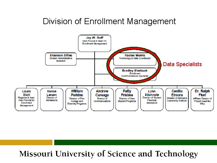 Division of Enrollment Management Data Specialists Division of Enrollment Management Data Specialists