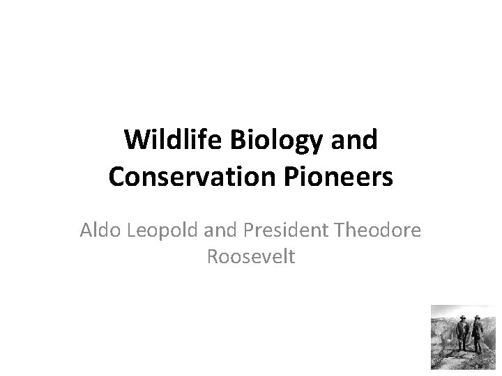 Wildlife Biology and Conservation Pioneers Aldo Leopold and President Theodore Roosevelt 