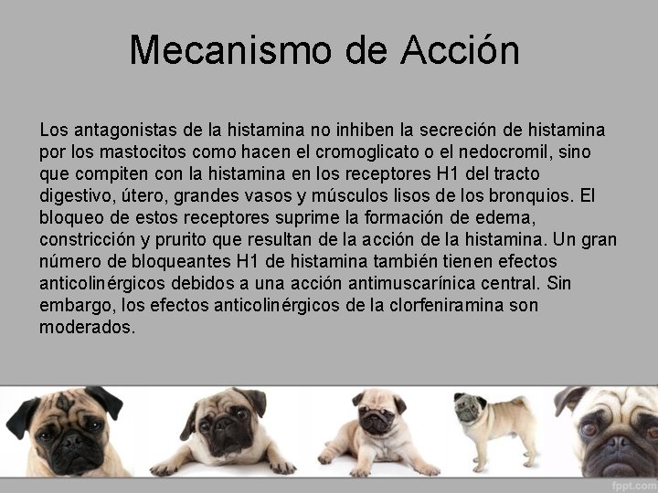 Mecanismo de Acción Los antagonistas de la histamina no inhiben la secreción de histamina