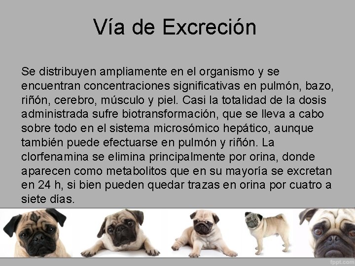 Vía de Excreción Se distribuyen ampliamente en el organismo y se encuentran concentraciones significativas