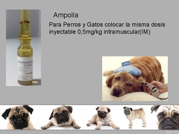 Ampolla Para Perros y Gatos colocar la misma dosis inyectable 0, 5 mg/kg intramuscular(IM)
