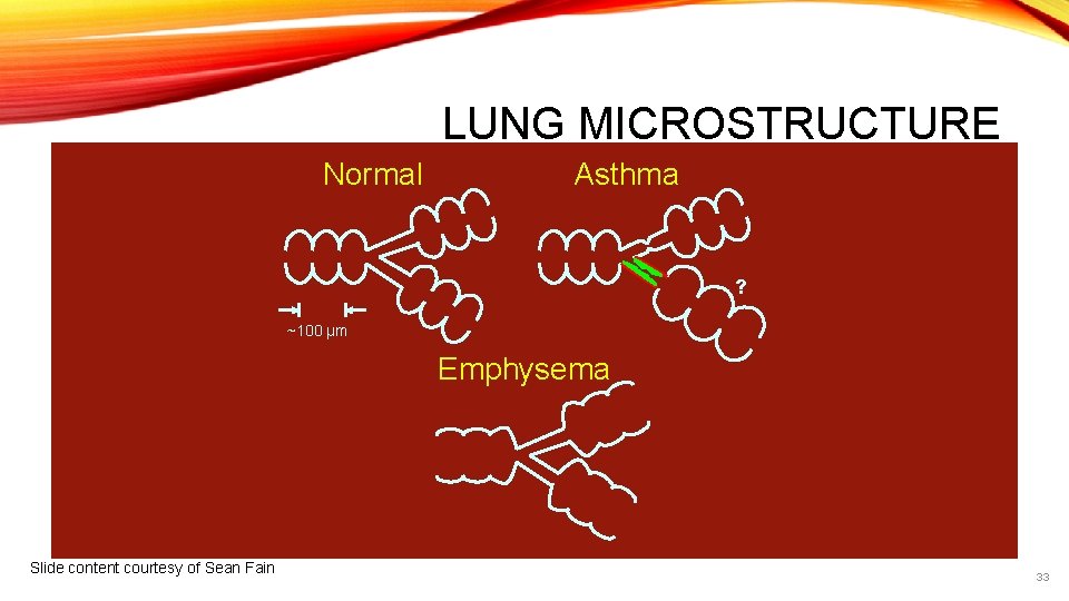 LUNG MICROSTRUCTURE Normal Asthma ? ~100 μm Emphysema Slide content courtesy of Sean Fain