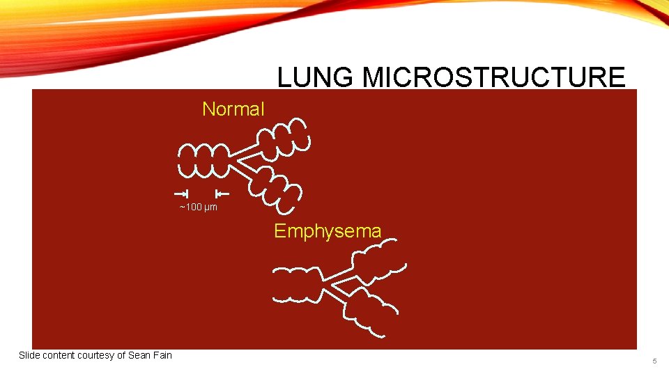 LUNG MICROSTRUCTURE Normal ~100 μm Emphysema Slide content courtesy of Sean Fain 5 