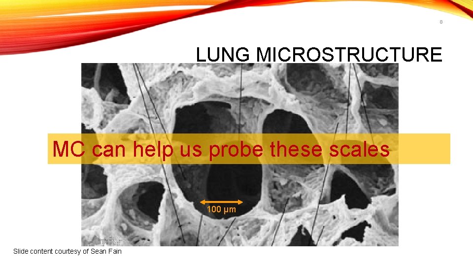 8 LUNG MICROSTRUCTURE MC can help us probe these scales 100 μm Slide content