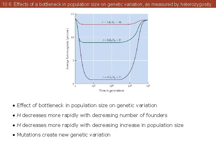 10. 6 Effects of a bottleneck in population size on genetic variation, as measured