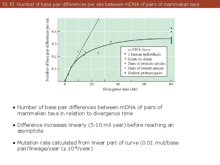 10. 10 Number of base pair differences per site between m. DNA of pairs