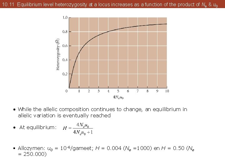 10. 11 Equilibrium level heterozygosity at a locus increases as a function of the