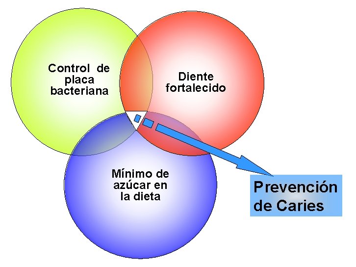 Control de placa bacteriana Diente fortalecido Mínimo de azúcar en la dieta Prevención de