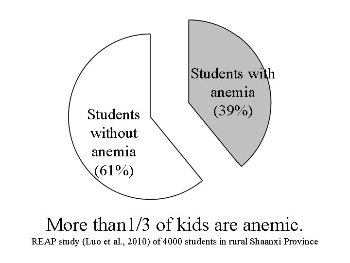 Students without anemia (61%) Students with anemia (39%) More than 1/3 of kids are Students without anemia (61%) Students with anemia (39%) More than 1/3 of kids are