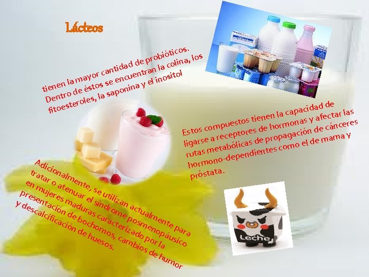 Lácteos s. o c i t ó obi los r , p a e
