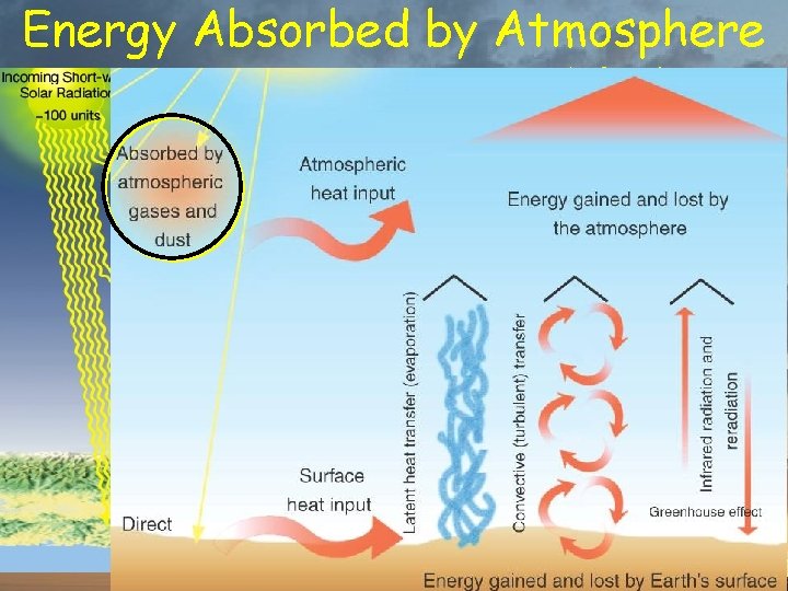 Energy Absorbed by Atmosphere % of total insolation 20% from Sun 7% conducted from