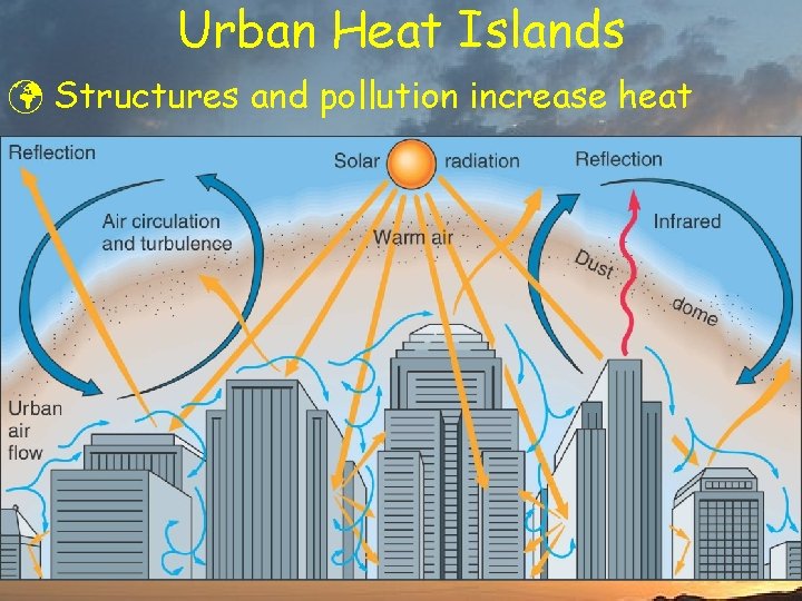 Urban Heat Islands ü Structures and pollution increase heat 