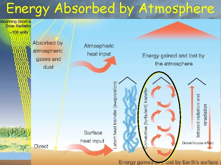 Energy Absorbed by Atmosphere % of total insolation 20% from Sun 7% conducted from
