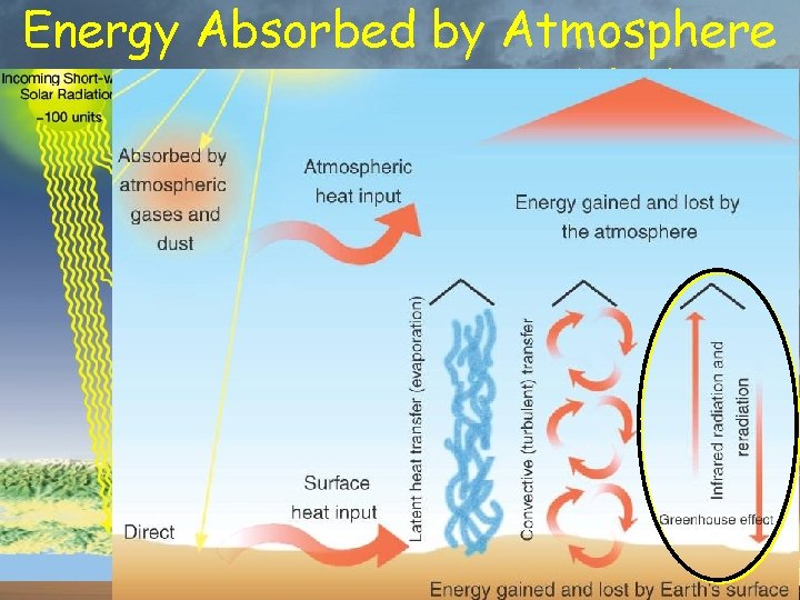 Energy Absorbed by Atmosphere % of total insolation 20% from Sun 7% conducted from