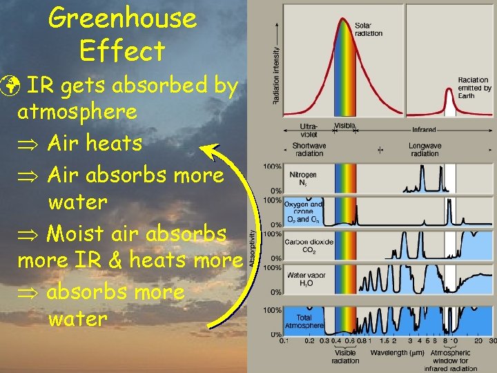 Greenhouse Effect ü IR gets absorbed by atmosphere Air heats Air absorbs more water