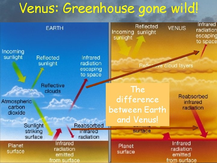 Venus: Greenhouse gone wild! The difference between Earth and Venus! 