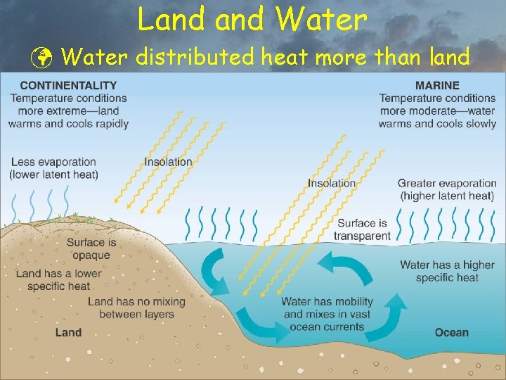 Land Water ü Water distributed heat more than land 