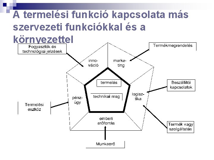 A termelési funkció kapcsolata más szervezeti funkciókkal és a környezettel 