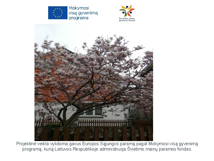 Projektinė veikla vykdoma gavus Europos Sąjungos paramą pagal Mokymosi visą gyvenimą programą, kurią Lietuvos Projektinė veikla vykdoma gavus Europos Sąjungos paramą pagal Mokymosi visą gyvenimą programą, kurią Lietuvos