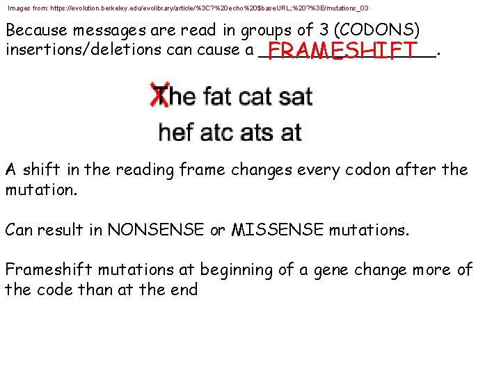 Images from: https: //evolution. berkeley. edu/evolibrary/article/%3 C? %20 echo%20$base. URL; %20? %3 E/mutations_03 Because Images from: https: //evolution. berkeley. edu/evolibrary/article/%3 C? %20 echo%20$base. URL; %20? %3 E/mutations_03 Because