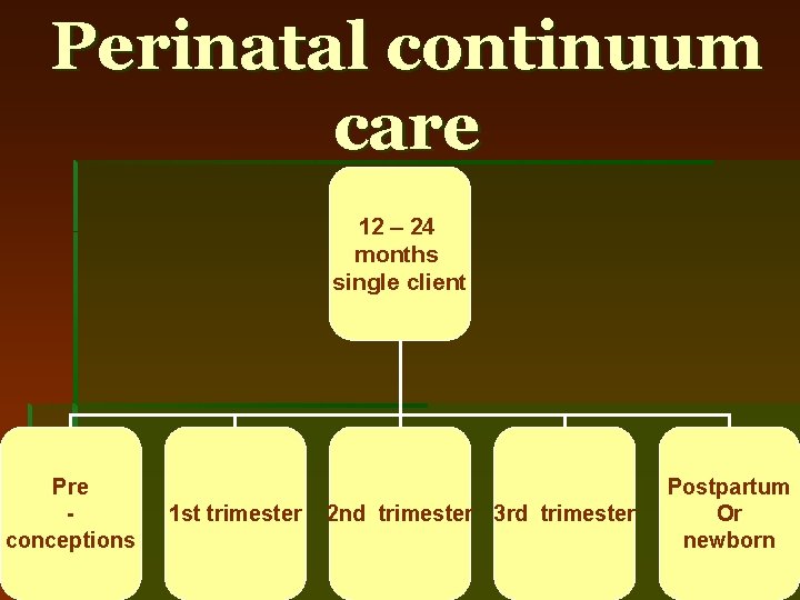 Perinatal continuum care 12 – 24 months single client Pre conceptions 1 st trimester