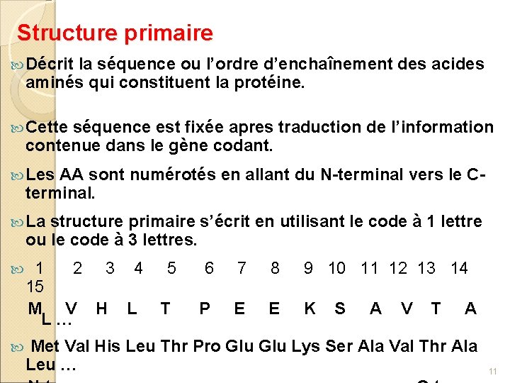 Structure primaire Décrit la séquence ou l’ordre d’enchaînement des acides aminés qui constituent la