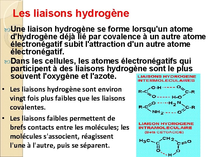 Les liaisons hydrogène Une liaison hydrogène se forme lorsqu'un atome d'hydrogène déjà lié par