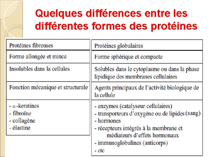 Quelques différences entre les différentes formes des protéines 