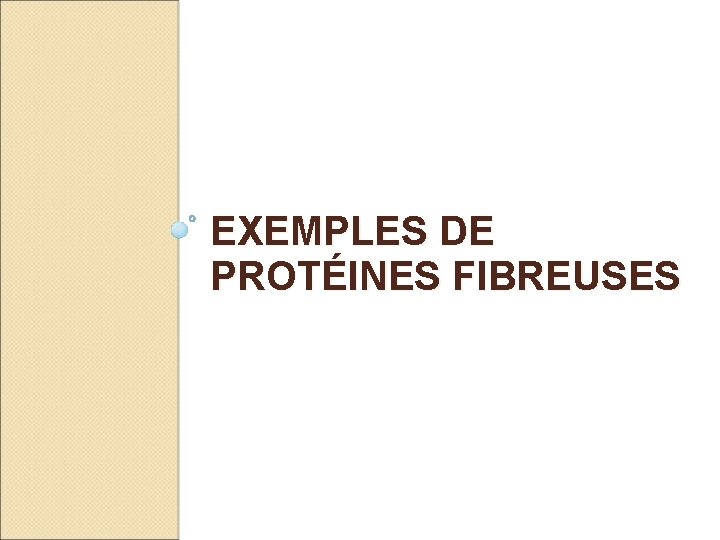 EXEMPLES DE PROTÉINES FIBREUSES 