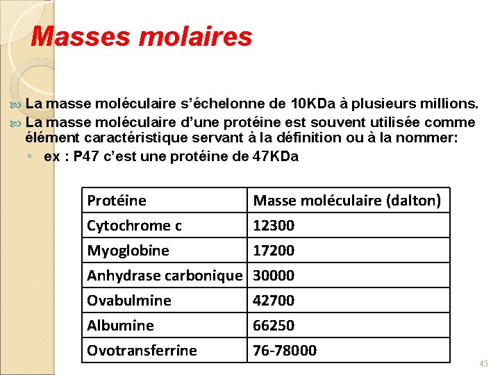 Masses molaires La masse moléculaire s’échelonne de 10 KDa à plusieurs millions. La masse