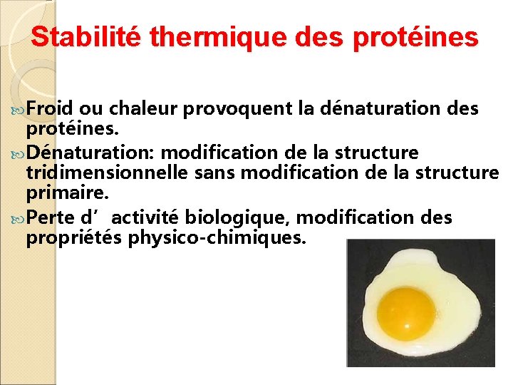 Stabilité thermique des protéines Froid ou chaleur provoquent la dénaturation des protéines. Dénaturation: modification