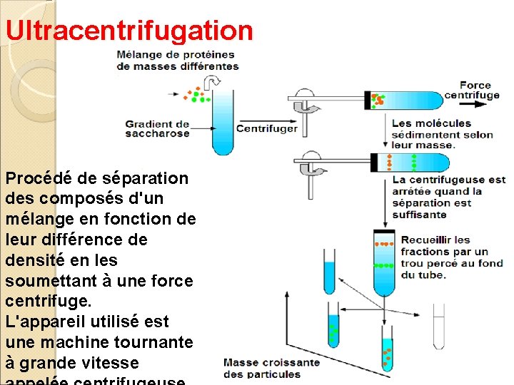 Ultracentrifugation Procédé de séparation des composés d'un mélange en fonction de leur différence de