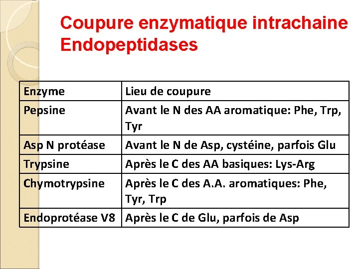 Coupure enzymatique intrachaine Endopeptidases Enzyme Pepsine Lieu de coupure Avant le N des AA