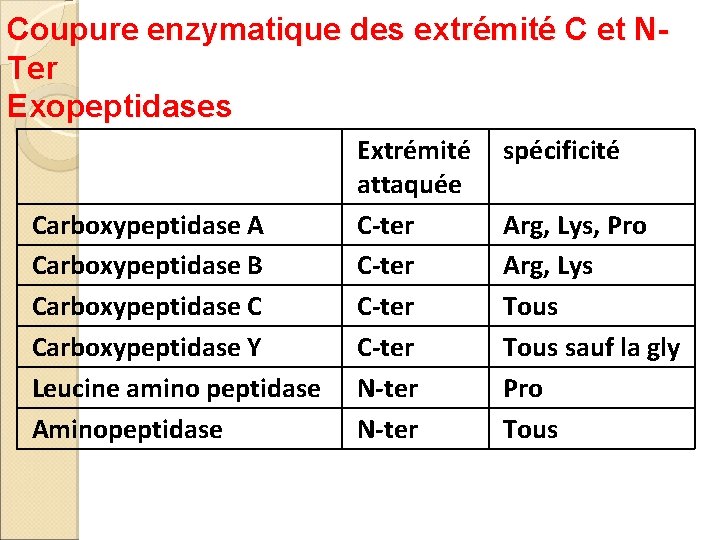 Coupure enzymatique des extrémité C et NTer Exopeptidases Carboxypeptidase A Carboxypeptidase B Carboxypeptidase C