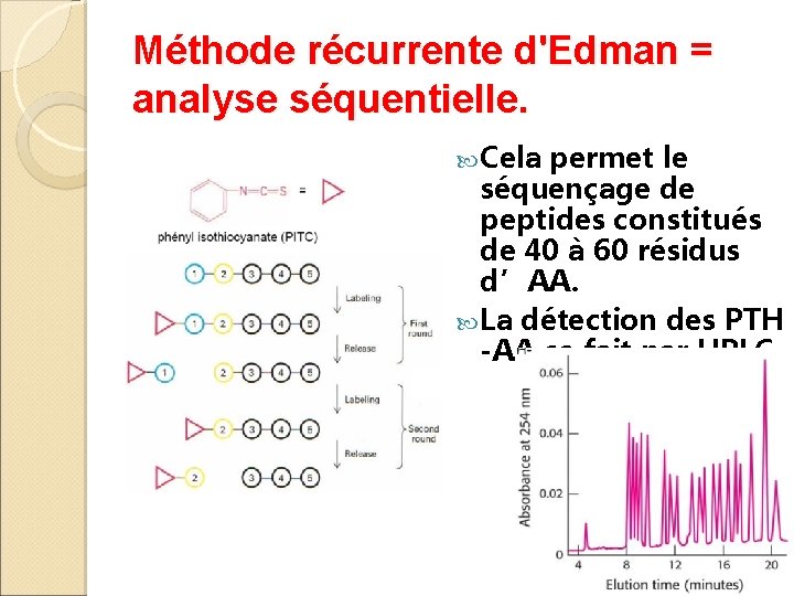 Méthode récurrente d'Edman = analyse séquentielle. Cela permet le séquençage de peptides constitués de